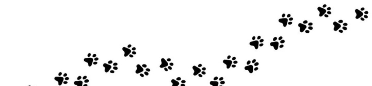 Pathways and Paws(es)